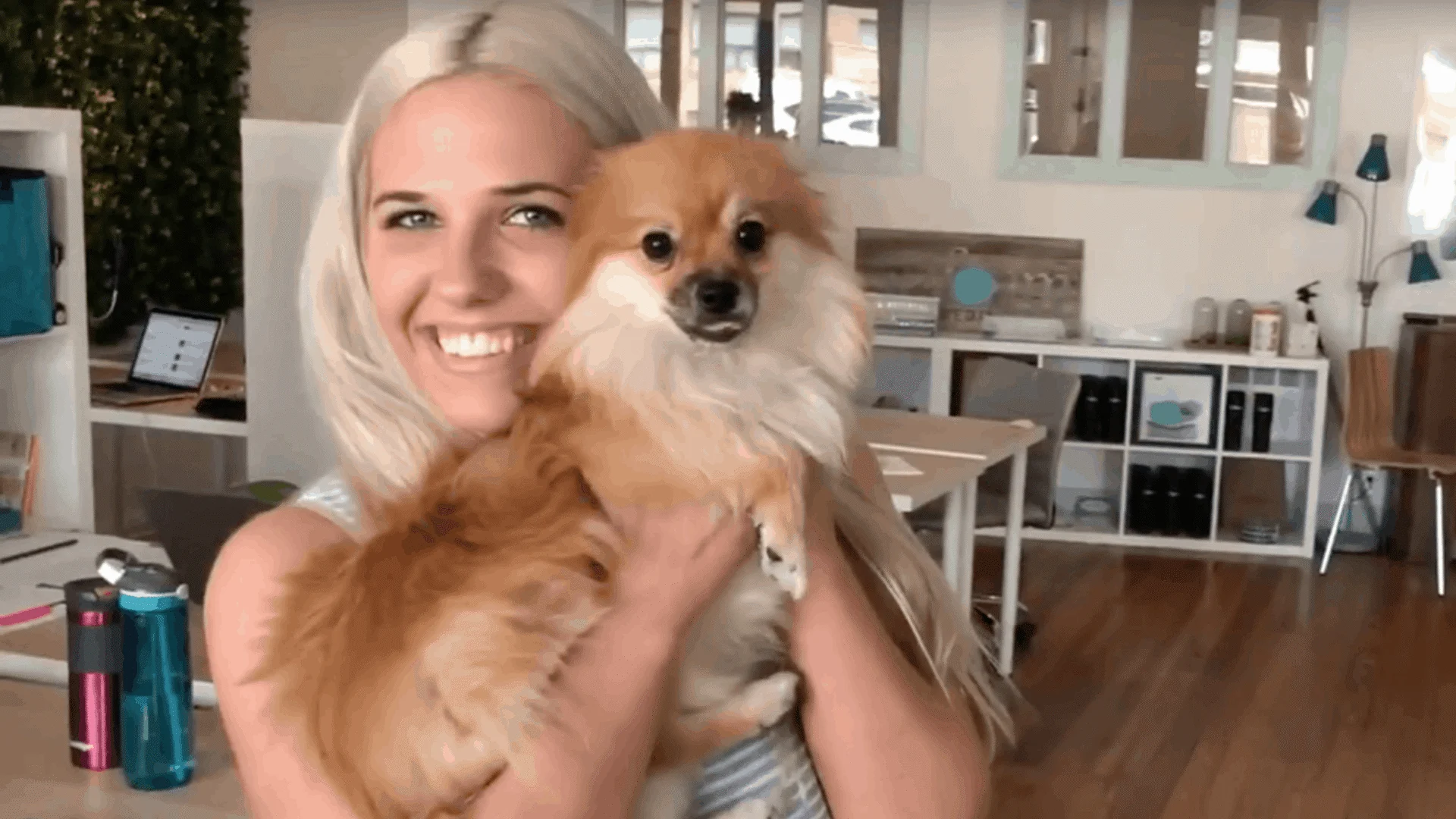 A smiling woman with blonde hair holding a fluffy, golden pomeranian dog in a bright room with modern furniture visible in the background. What's your seashore?