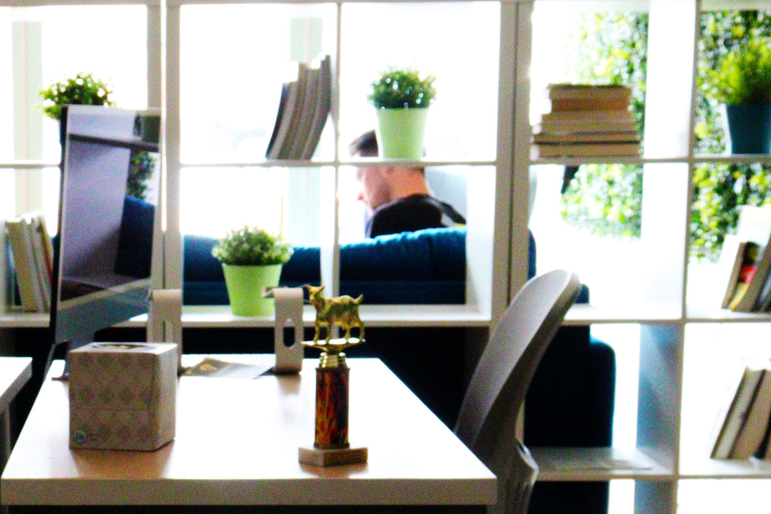 Man sitting behind bookshelf at customer experience and brand experience agency